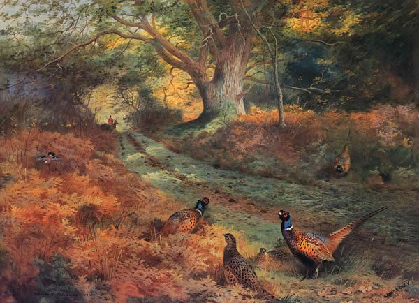 Archibald Thorburn Famous Paintings